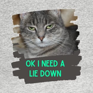 OK I need a lie down T-Shirt